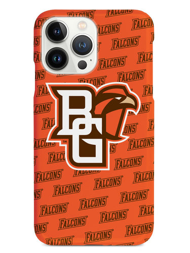 Bowling Green Falcons Case