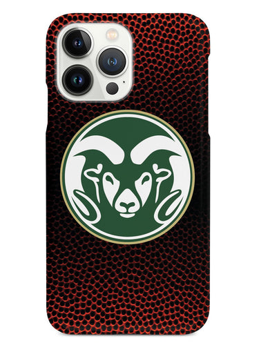 Colorado State University - Textured Basketball Case